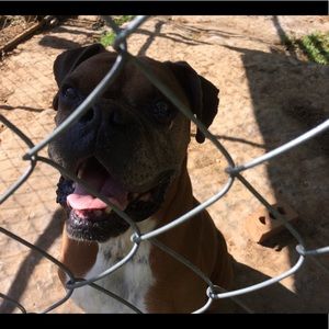 Meet your Posher, Juanita